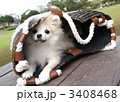 ひなた　バッグ