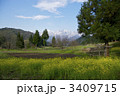里山の春