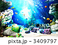 夏の海底1168748_BEST