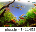 アクアリウム３　