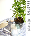 gardening　image