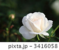 薔薇のブライダル・ティアラ