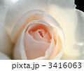 薔薇のブライダル・ティアラのアップ