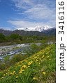 白馬松川の春景色