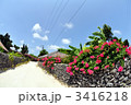 竹富島の町並みと南国情緒