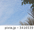 秋の空