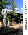 豪徳寺