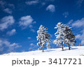 雪山の木と雲と青空