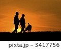 夕方の散歩
