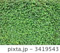 つた つた
