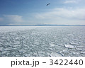 オホーツク海の流氷と雪の知床連山