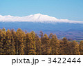 晩秋のカラマツ林と大雪山