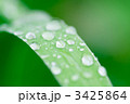 3425864