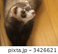 3426621