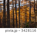 3428116