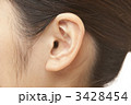 3428454
