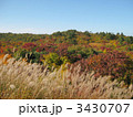 栗駒山の紅葉