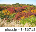栗駒山の紅葉