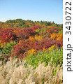 栗駒山の紅葉