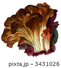maitake111027pix.