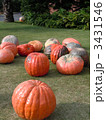 ハロウィンの巨大カボチャ
