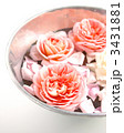 薔薇三昧