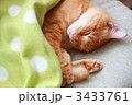 3433761