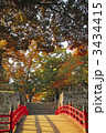 盛岡城跡公園の紅葉