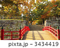 盛岡城跡公園の紅葉