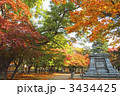 盛岡城跡公園の紅葉