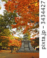 盛岡城跡公園の紅葉