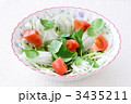 セリの野菜サラダ