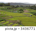 下赤阪の棚田