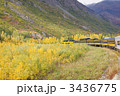 黄葉の原野を行くアラスカ鉄道