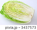 白菜