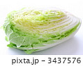 白菜