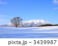 冬の岩手山