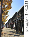 紅葉の彦根市キャッスルロード