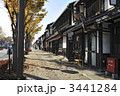 紅葉の彦根市キャッスルロード