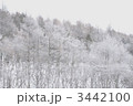 3442100