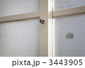 3443905