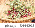 小豆と鞘