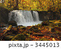銚子大滝の紅葉