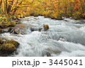 奥入瀬渓流の紅葉