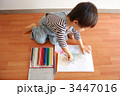 3447016