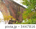 3447816