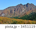 大山とブナの紅葉