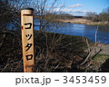 釧路湿原コッタロ