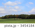 3454184