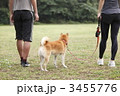 3455776